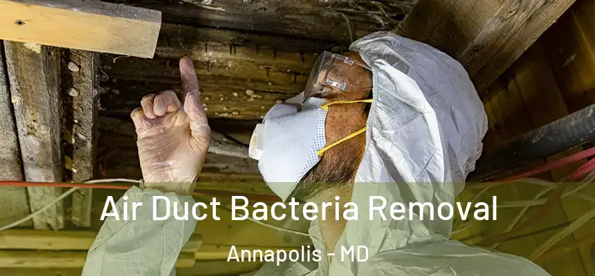 Air Duct Bacteria Removal Annapolis - MD