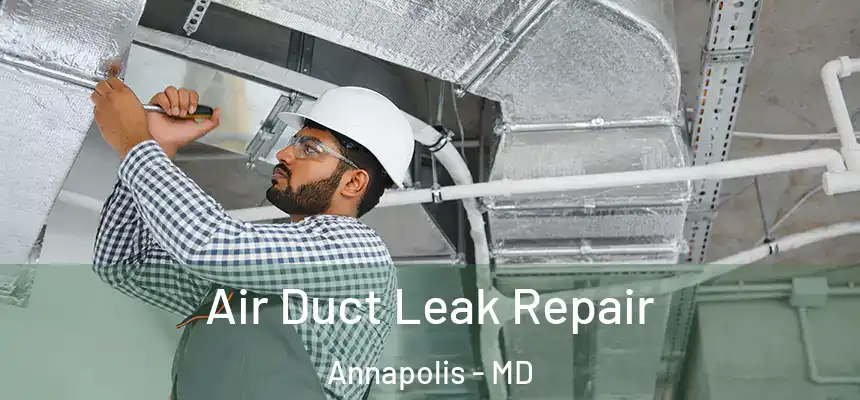  Air Duct Leak Repair Annapolis - MD