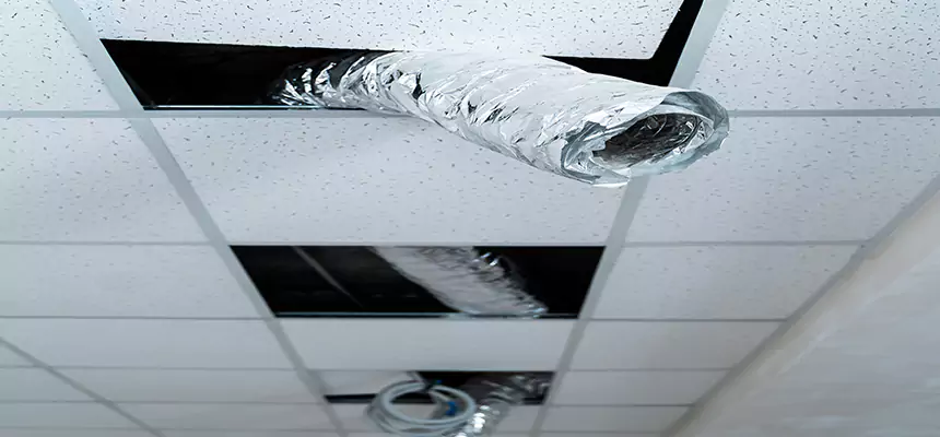 Affordable HVAC Sanitizing After Pest Removal in Annapolis