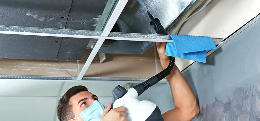 Our Air Duct Rodent Removal Services in Annapolis, MD