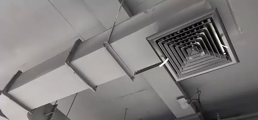 Restorative Allergy Relief Vent Cleaning – Coil, Blower & Housing Detail in Annapolis