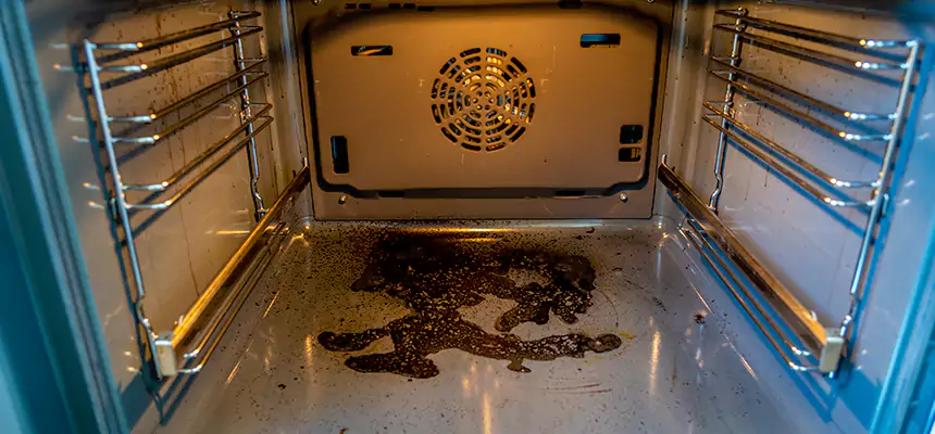 Our Dryer Vent Mold Cleaning Services in Annapolis, MD