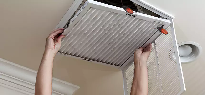 Our Insect Removal from Air Ducts Services in Annapolis, MD