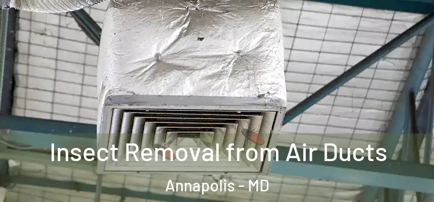  Insect Removal from Air Ducts Annapolis - MD
