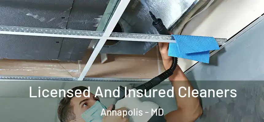 Licensed And Insured Cleaners Annapolis - MD