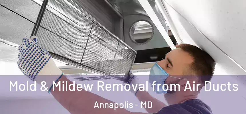  Mold & Mildew Removal from Air Ducts Annapolis - MD