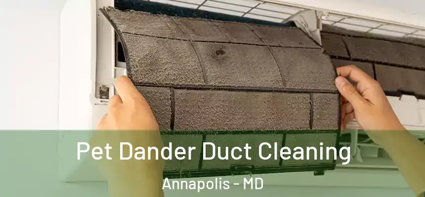  Pet Dander Duct Cleaning Annapolis - MD