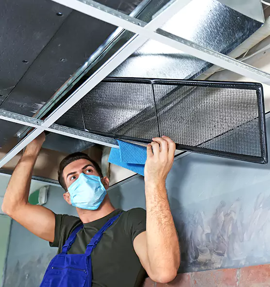 About Air Duct Bacteria Removal in Annapolis