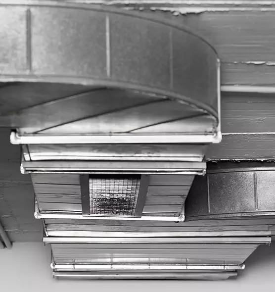 Professional Air Duct Pet Hair Removal in Annapolis, MD