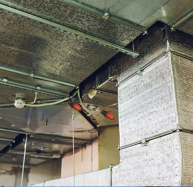 Why Homeowners & Businesses Trust Us in Annapolis, MD?