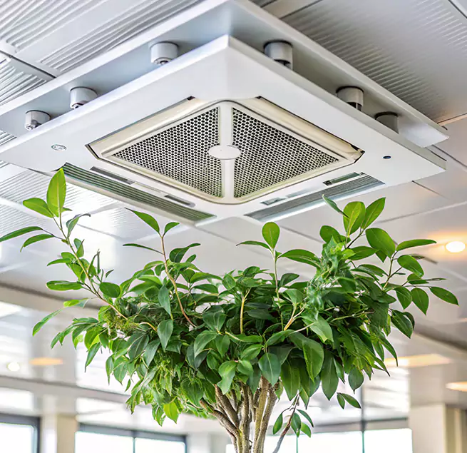 Why Homeowners & Businesses Trust Us in Annapolis, MD?