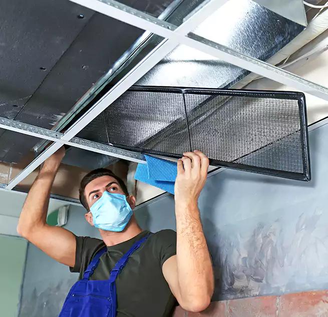 Why Homeowners Businesses Trust Us in Annapolis, MD