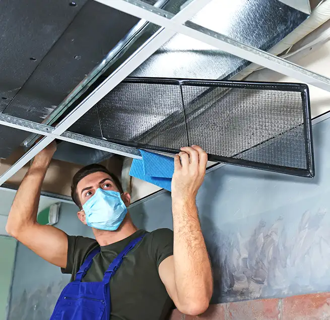 Why Homeowners & Businesses Trust Us in Annapolis, MD?